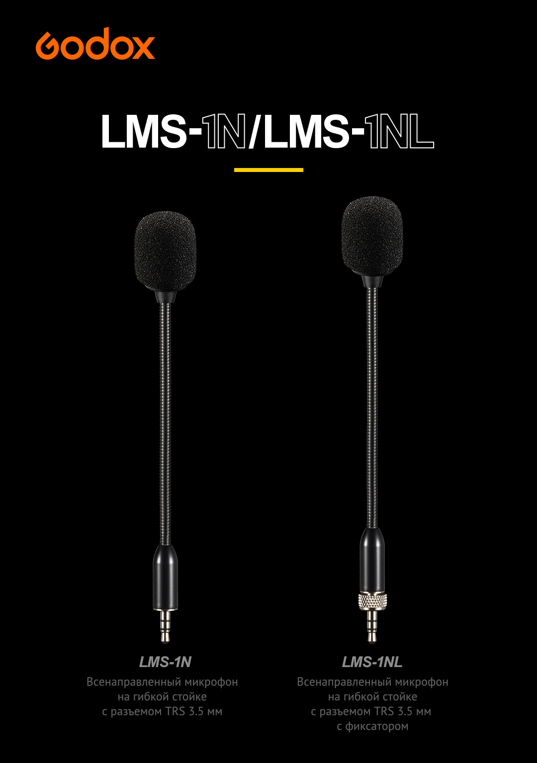 LMS_1N_1.jpeg
