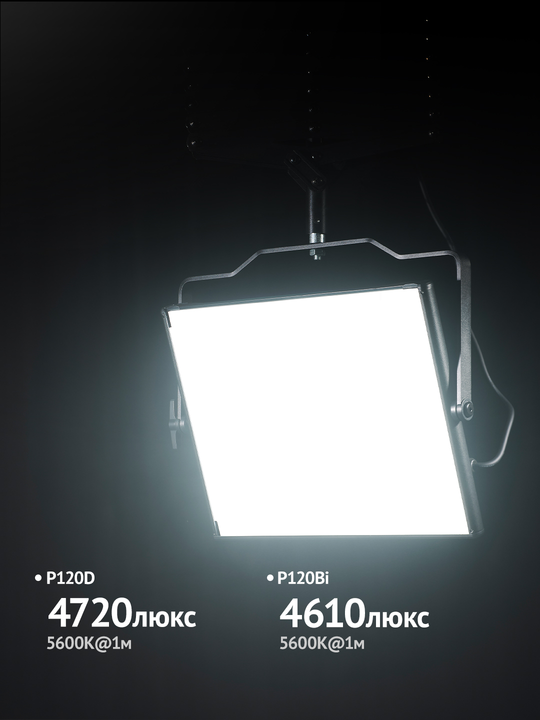 P120D-Bi_02.jpg P120D-Bi_02.jpg