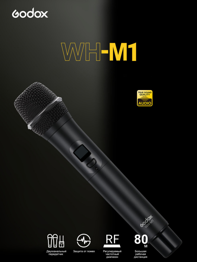 WH-M1 -1.jpeg
