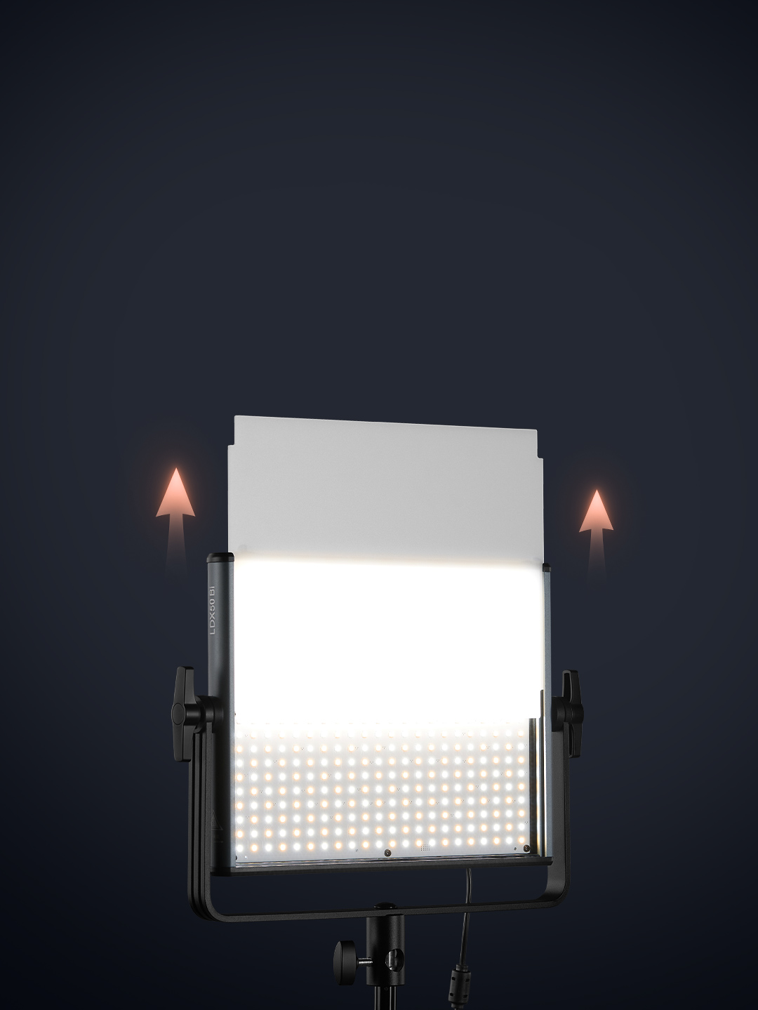 LDX_02.jpg
