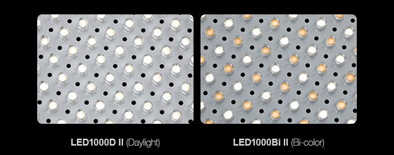 Products_Continuous_LED1000II_04.jpeg