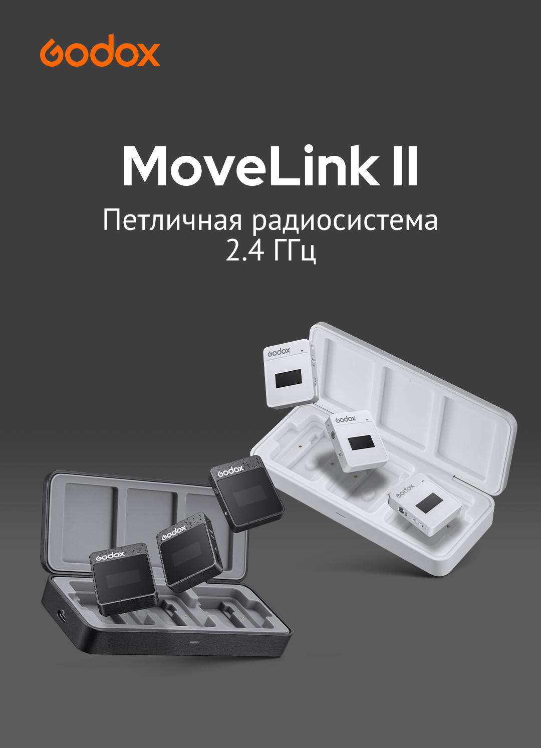 MoveLinkII_1.jpeg