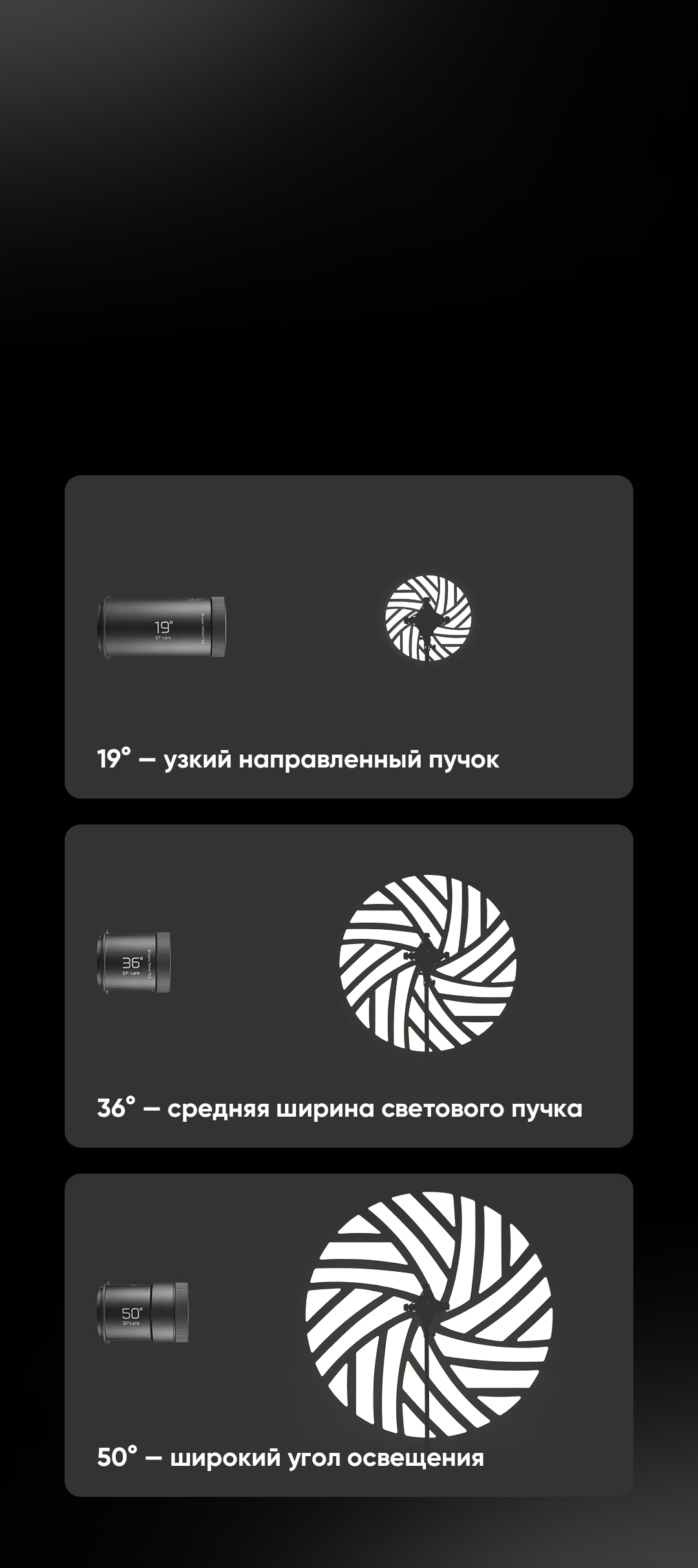 FP-M_06.jpg