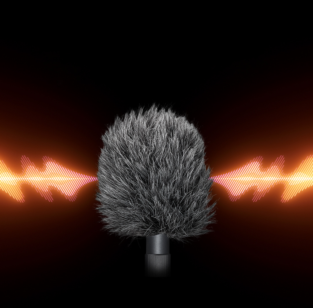 VS-Mic_7.jpeg
