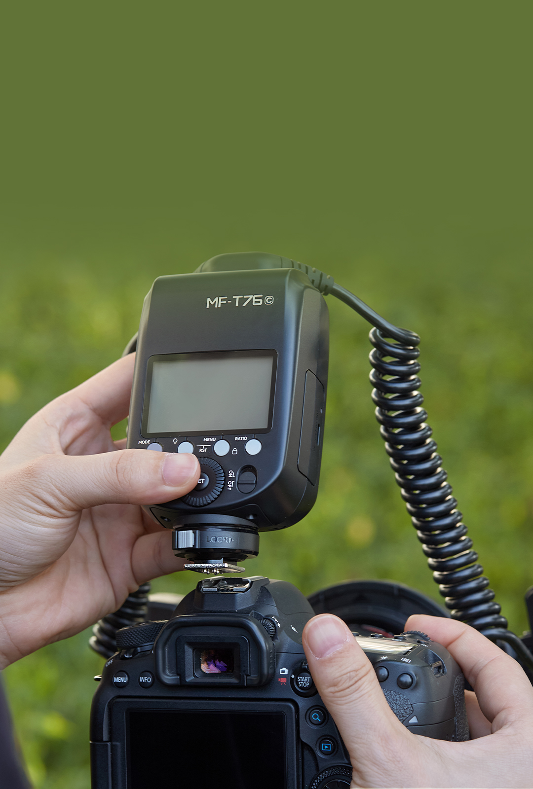 MF-T76_07.jpg